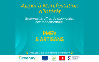 APPEL A MANIFESTATION D’INTERET POUR BENEFICIER D’UN DIAGNOSTIC ENVIRONNEMENTAL (GreenAssist)